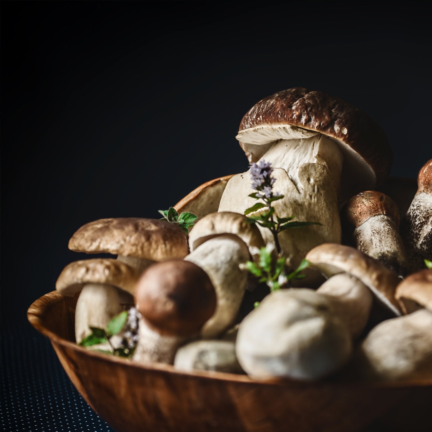 Porcini Mushroom Cream - 14 oz - Sabatino Truffles